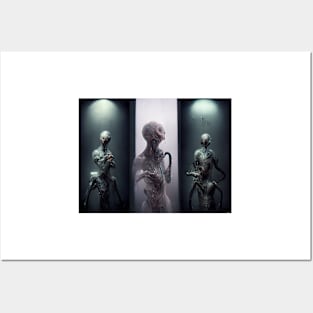 Grey Aliens, evolved and eternal Posters and Art